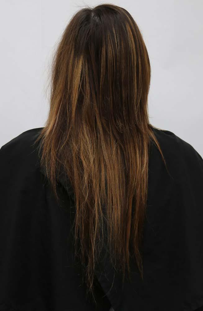 Figure 1. Full Head Baseline Photo of Untreated Hair.