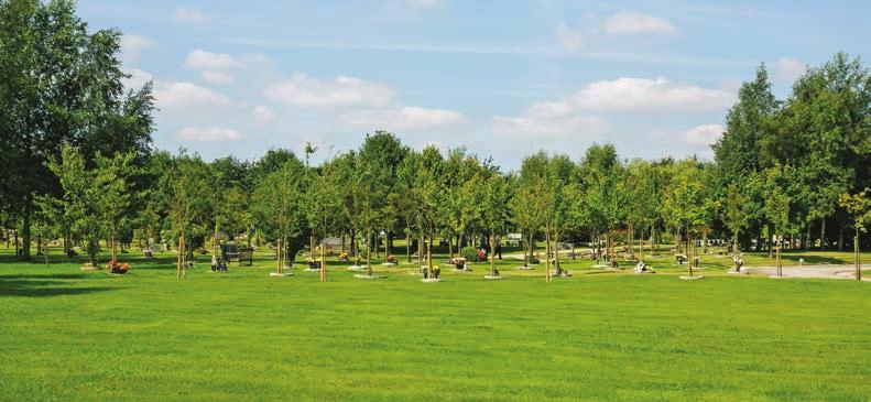 Living Memorials Living Memorials Living Memorials Trees A variety of trees have been planted in our gardens to