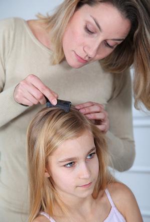 Lice Lice is caused by the head louse In an active infestation, both adult lice and their eggs (nits) are present Lice is spread by head-to-head contact or by sharing items that were worn near the