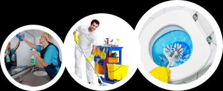 HOUSEKEEPING Multi Surface Powder Cleaner Effective in cleaning soap scum, mildew and dull