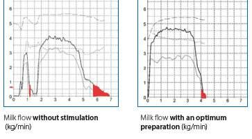 PRE-MILKING ROUTINE Strip, Foam, Wipe, Apply The importance of an effective premilking routine is well proven but what are we trying to achieve?