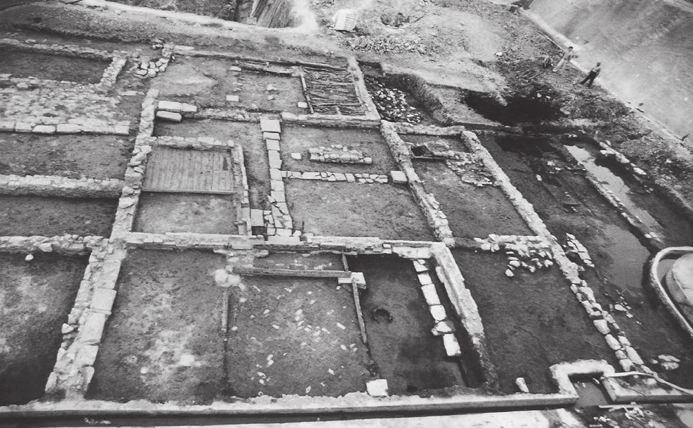 Fig. 6 Eastern part of house-foundations in the eastern area (photo from south to north) The eastern area occupies 2,000 sq m with the revealed foundations representing above 20 houses.