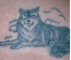tattoos with the SINON Q-switched ruby laser system yields excellent results for almost all colors.