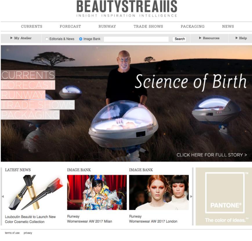 BEAUTYSTREAMS s SERVICES WE PROVIDE TWO TYPES OF SERVICES:
