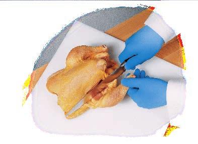 FORMFLEX NITRILE GLOVES Formfitting, latex-free Durable with enhanced dexterity Resistant to animal fats, so won t break down 103-FF12-CP S FormFlex Nitrile