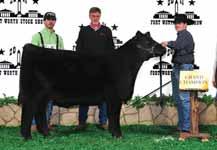 15 / TATTOO: 5033C SIRE GTWY DJANGO 3A GOET I80 BF 121 (HEADLINNER) DAM BK XCEPTIONAL 001 BK UNLIMITED POWER 472 RSCC ROXBURY 707L 34 K&S CHANDELIER 5034 This I-80 female is as sure footed and