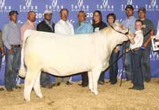 Duane and Sue Jeffrey have a stand-out program that has proven they are capable of producing national champions. SIRE DAM Heifer / Charolais / DOB: 09.04.