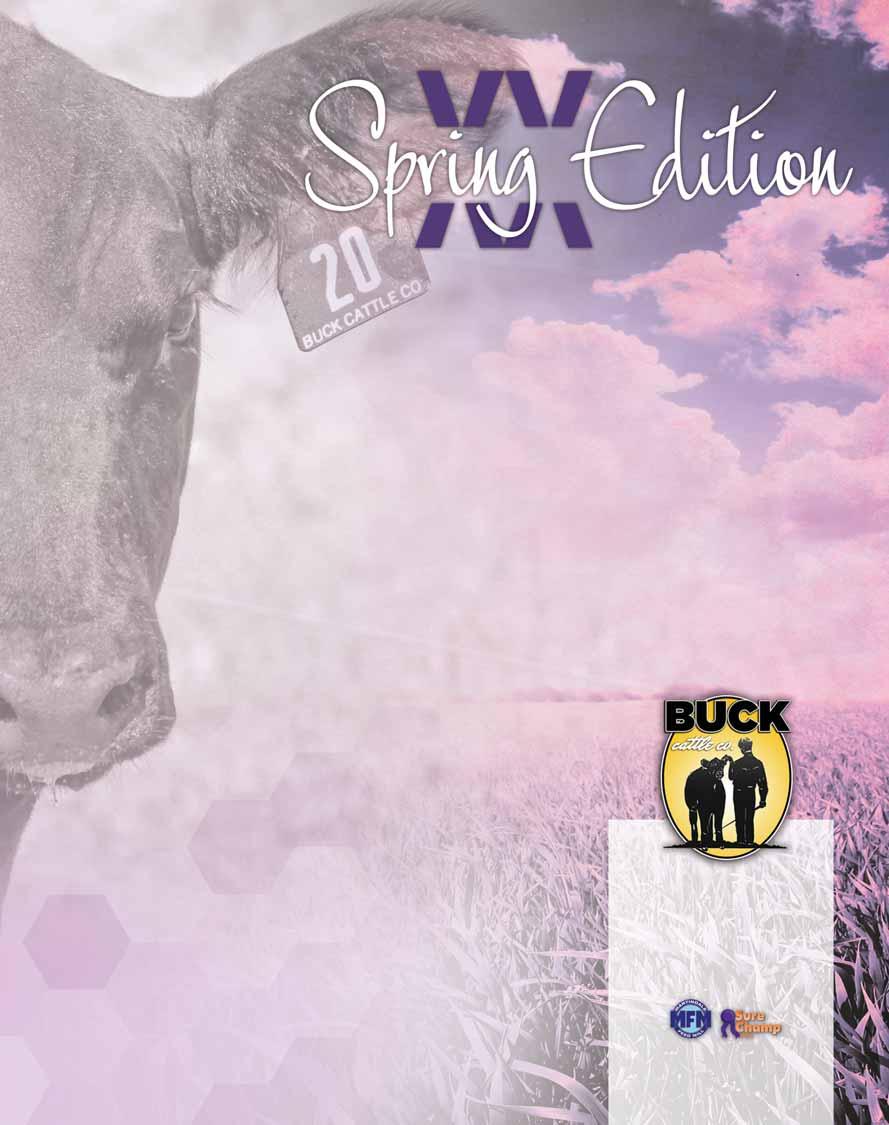 Buck Cattle Co Spring Catalog.qxp_Layout 1 2/29/16 2:13 PM Page 3 Saturday, March 26, 2016 1:00 PM at the ranch, Madill, Oklahoma Welcome to our 20th Annual Spring Edition Sale!