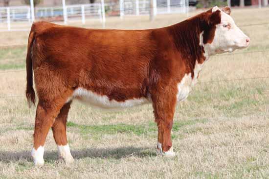 We have sold five full sisters to her this past year and every one of them look tremendous, and we expect big things from them this year.