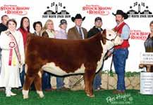 2014 NJHE Grand Champion Polled Hereford Heifer for Cole Moore and a maternal sister to sire of Lot 62.