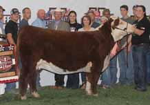 Buck Cattle Co Spring Catalog.qxp_Layout 1 2/29/16 2:15 PM Page 36 HEREFORD HEIFERS 63 BK CALAMITY JANE 5063C This promising young female delivers added shape, soundness, and look.
