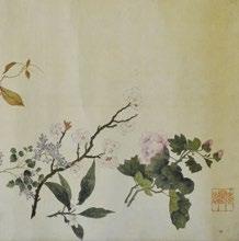 long hand scroll depicting several Chinese flowers with very fine detail and accuracy,