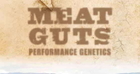 , at the Ranch The 6th Annual Offering MEAT GUTS