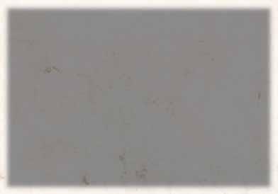 SUNKEN CANYON RANCH SALERS & SALERS/ANGUS COMPOSITE BULLS FALL 2010 Sale Guest SUNKEN CANYON RANCH Joe & Cheryl Gellings, Buhl, Idaho (208) 543-2270 Cell (208) 308-6901 A third-generation eastern