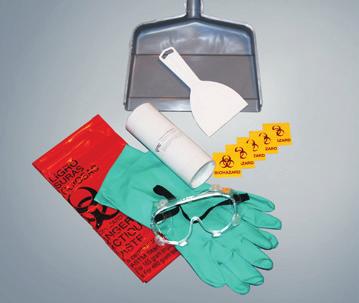 In addition to the powder and magnet, the kit contains: 1 scrubber; 1 pair of goggles; 1 pair of nitrile gloves; disposal bags and biohazard warning labels. MESK $ 85.