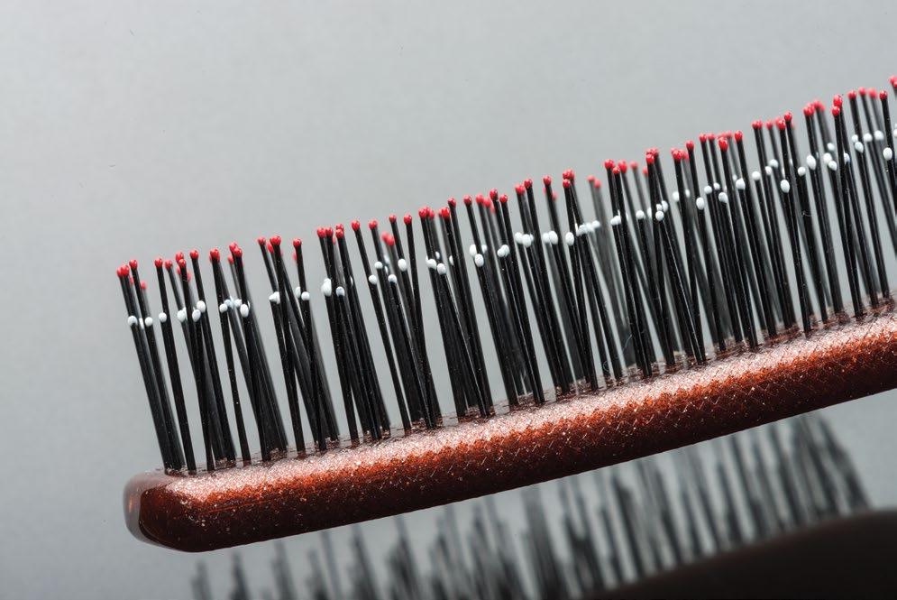 get what you want Bristles of all kinds and shapes! Why 2 different lengths you ask?
