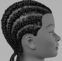 The hair that you pick up must never come from another panel or from a lower part of the braid. The same is true when executing any braid technique.