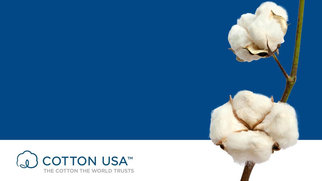 1 The World Cotton Market: Challenges