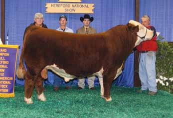 LPH 155P KRISSI KAY 162T {DLF,HYF,IEF} 23 31-3 2.9 53 89 0.8 21 48-2.2 115-0.023 0.4-0.01 A daughter of the famed Times A Wastin.