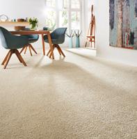 Leonis : Luxurious and practical polypropylene carpet with soft pile and a lustrous fibre. X-Tron : Carpet made of strong polypropylene fibres for high-traffic use.