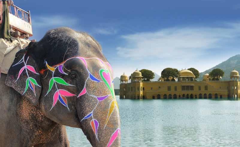 PAINTED PACHYDERM: A colorful elephant with Jal Mahal Water Palace in the background PHOTO: MICHELLELIAW DREAMSTIME.COM JUST THE FACTS Time zone: GMT +5.