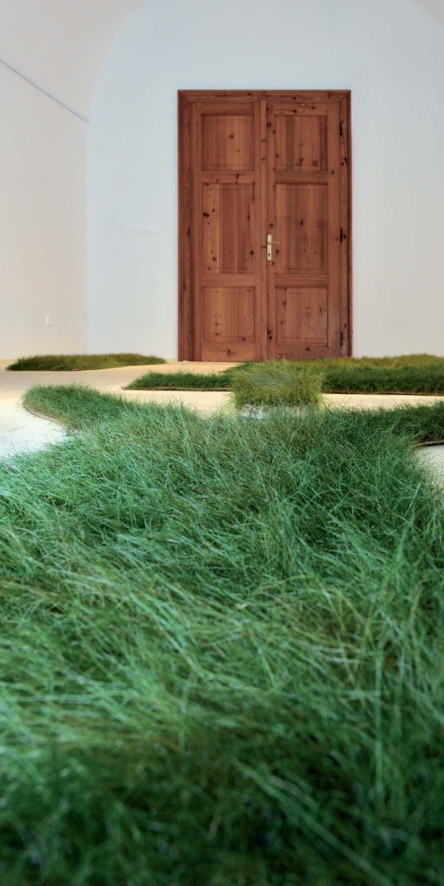 ŽIVÉ ŠATY, 2013, šaty, semená trávy; inštalácia v Turčianskej galérii v Martine 2013 VIVID