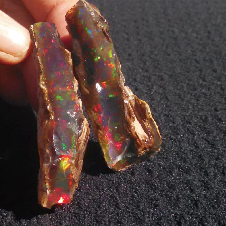 The end of this piece was a massive layer of opal, some of which shows fire. The log was only a few feet from Lana s find. Since then, other diggers have found nice pieces all along that part of NW4.