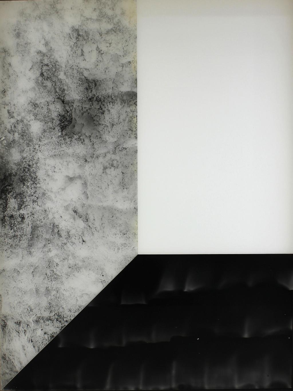 Pia Rondé & Fabien Saleil, Noir humide, 2016 Photogram and argentic