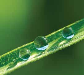 Hydrophobicity is the physical property of a molecule or material to repel water. This phenomena is critical for the function of cells, and thus life itself!