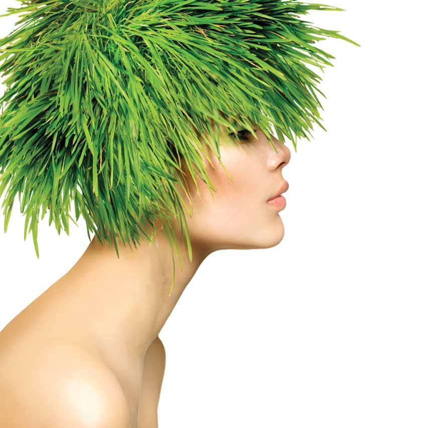 GRASS ROOTS Understanding hair and how it thrives are key to growing our hair confidence.