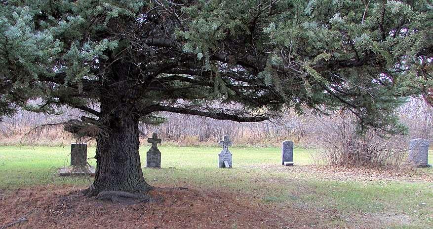Local cemeteries can be recognized from afar on the flat prairies by the evergreen trees, symbols of everlasting life that typically grace the perimeter and occasionally shade individual plots.