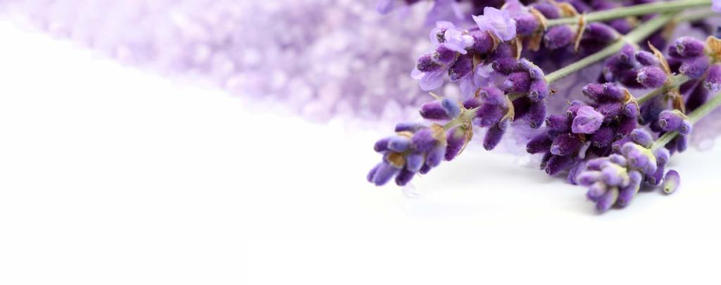 Lavender Treatment for Dry Hair مجموعة الفندر للعناية بالشعر الجاف Lavender Shampoo 300 ml Based on the extracts of lavender essential oil that brightens and
