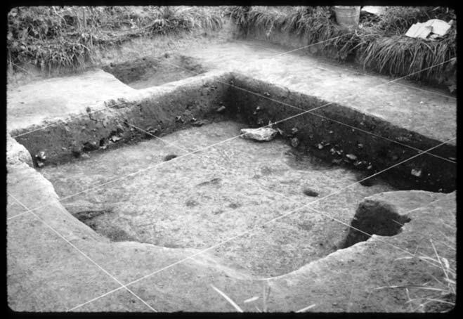 MOUND BOTTOM Figure 11. Excavation plan of unit containing Houses 22 and 23. Both houses were constructed in a large basin (see Figure 12).