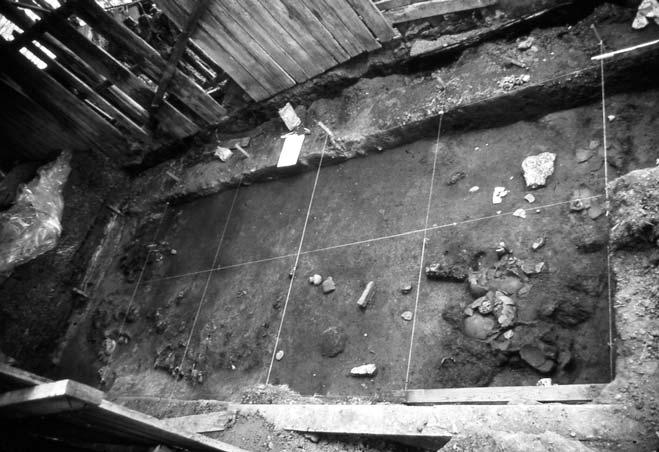 SOUTHEASTERN ARCHAEOLOGY 31(1) SUMMER 2012 Figure 13. Photograph looking down on House 14 (east to the top).