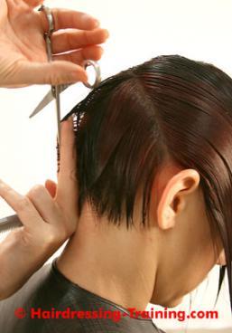 Guide 2 Head shape in a slightly forward position. Begin at the nape area, holding the hair out at a 45-degree angle and cut, remembering to keep the hair wet at all times with maximum tension.