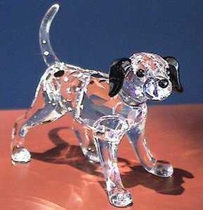 Mair Product Name Dalmatian puppy, standing