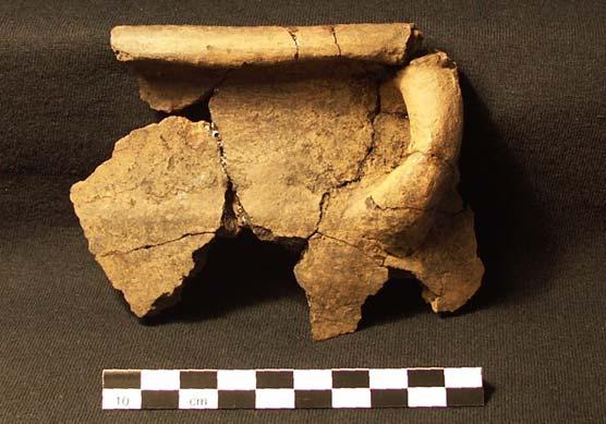 Prehistoric Ceramic Analysis of the Phase 1 assemblage from Lanton Quarry A rim fragment of modified Carinated Bowl with a rare instance of a handle connecting the shoulder and rim. Approx.