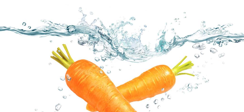 25 Bell s Fragrance Compositions 0811081 Carrot & Vitamin Energy The vitalising character of this creation is determined by an accord of carrots, apricots and oranges.