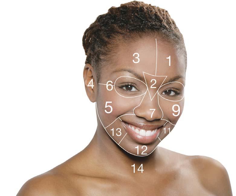 professional services face mapping skin analysis face mapping skin analysis zone-by-zone zone nose and upper lip (between the nose and lips) Look and feel for congestion and broken capillaries.