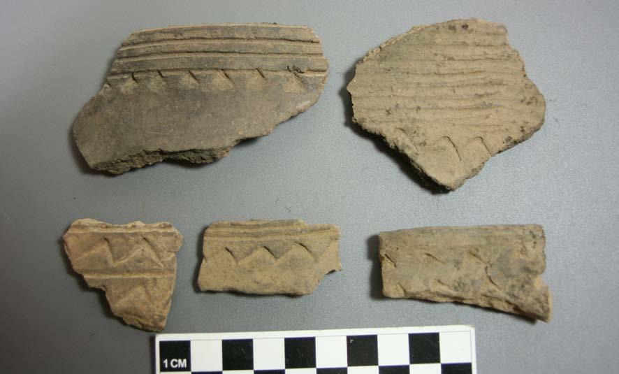 24 Journal of Northeast Texas Archaeology 35 (2011) Figure 8. Coles Creek Incised, var.