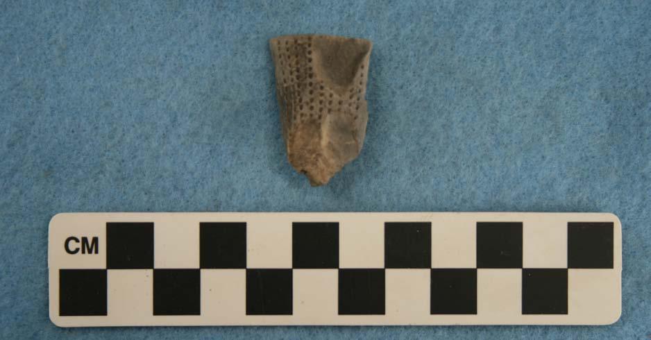 Group M stem sherd with three punctated rows. Group N (n=1) The Group N pipe stem has a direct rim and a flat lip.