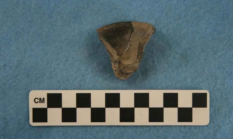 66 Journal of Northeast Texas Archaeology 35 (2011) Figure 26.