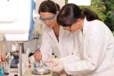 Formulation Tips Capixyl is an clear aqueous solution easy to work and