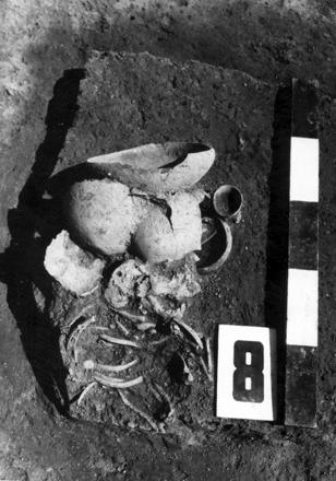Figure S1.9: Late Neolithic burials at Gomolava.