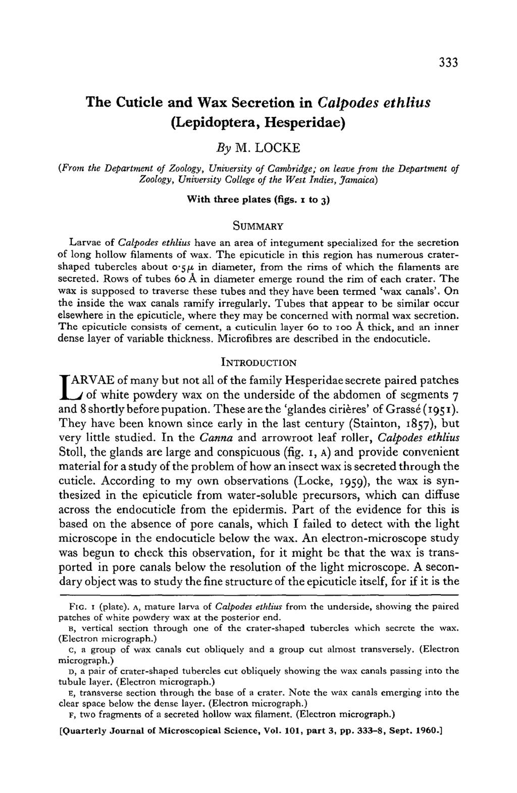 333 The Cuticle and Wax Secretion in Calpodes ethlius (Lepidoptera, Hesperidae) By M.