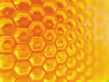 Chemically, beeswax consists mainly of esters of fatty acids and various long-chain alcohols.