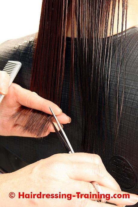Using even tension, comb the hair straight down with the small teeth of your cutting comb.