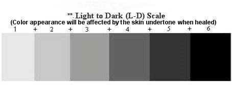 * Eyebrow and Modifier Color Temperature Scale Slightly warm (this category can range from a barely warm to a slightly warm) Warm (this category can range from a warm to a very warm) Extremely warm