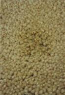 Carpet Spot Cleaner Solvent Variation Study CELLOSOLVE DPnB TPnB Butyl To