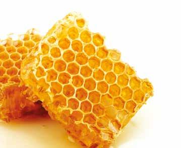 + life balance / bee products Busy honey bees are a true golden treasure of nature.